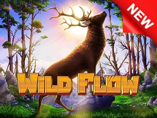 Wild Flow